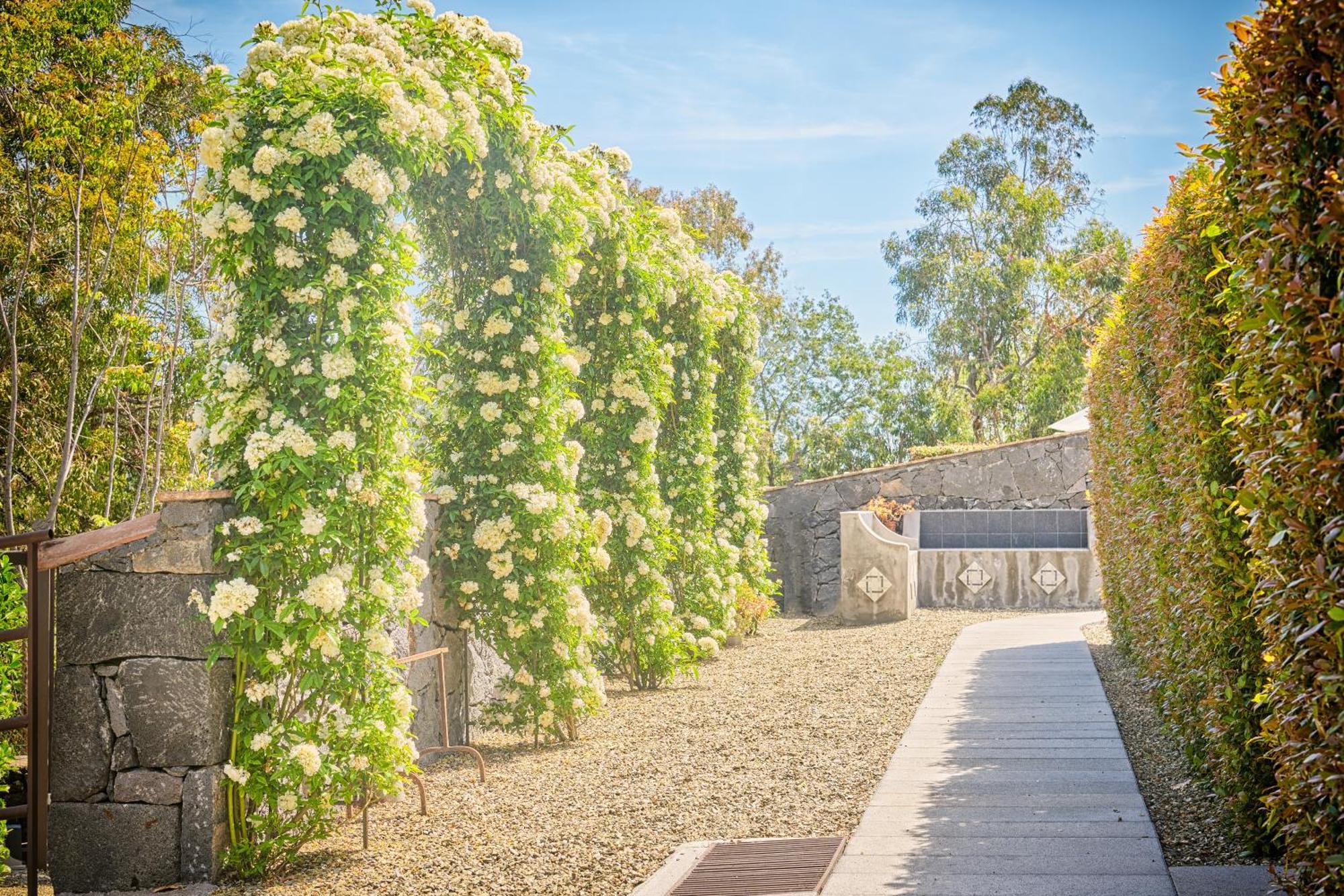 Aparthotel Il Casale Di Monacella Santa Venerina Exterior foto